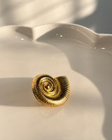 Seashell ring