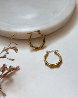 Graceful Gleam Hoops