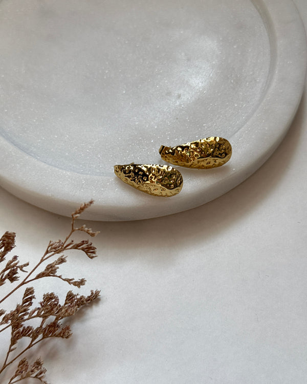 Shine Arc Earrings